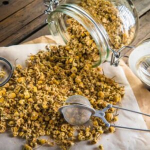 Dried Chrysanthemums