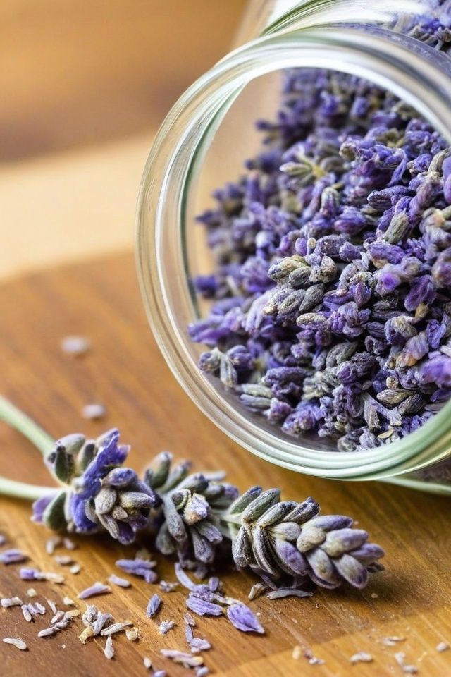Dried lavender flowers
