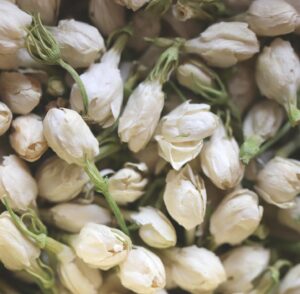 Dried jasmine buds