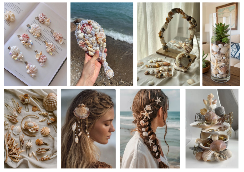 natural decorative seashells