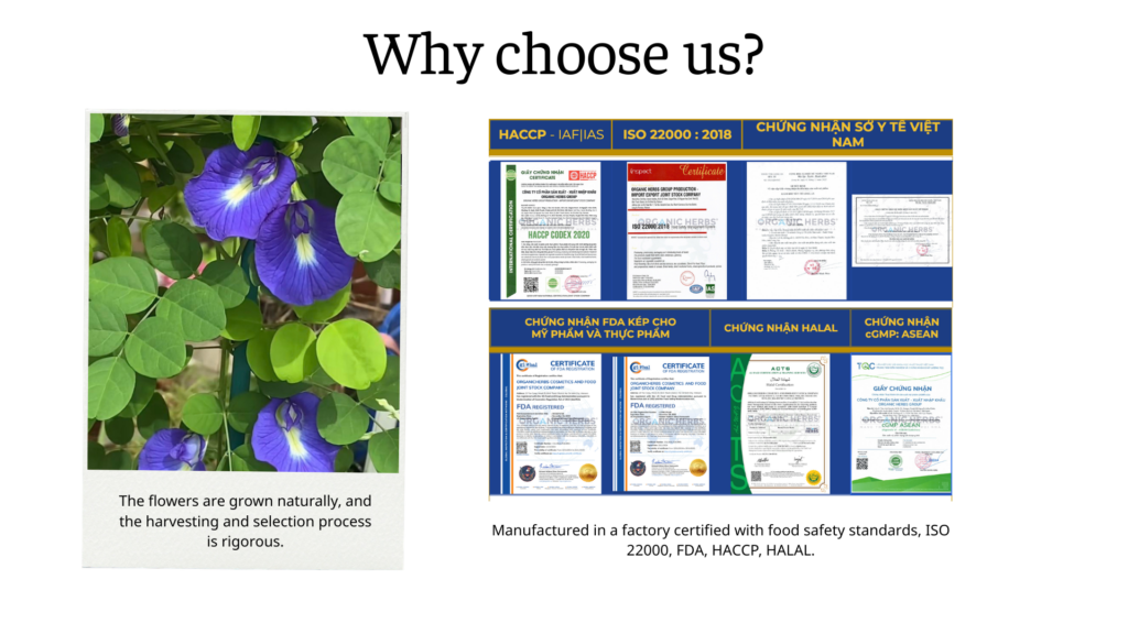 Butterfly pea flowers